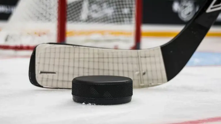 How Much Does a Hockey Puck Weigh